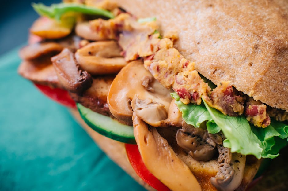 髮帶的故事與應用:專業解析與生動描寫