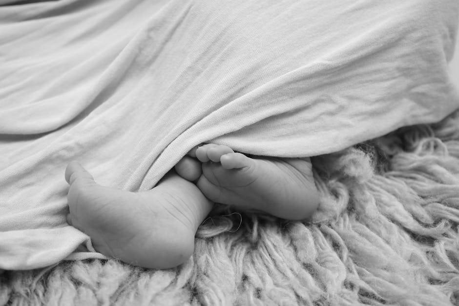 陪月課程:溫馨教學指南