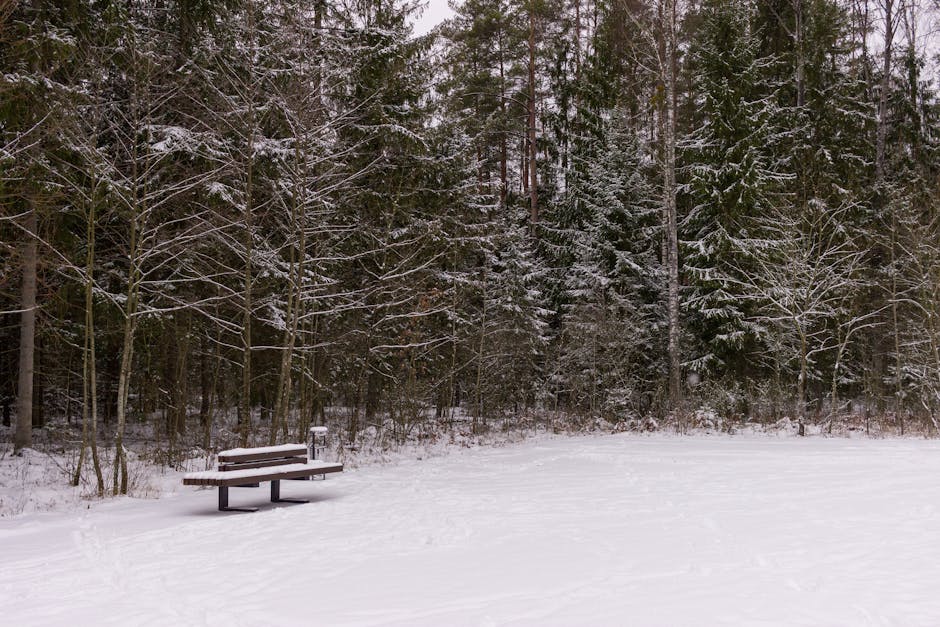 木紋地膠：打造溫暖舒適空間的理想選擇