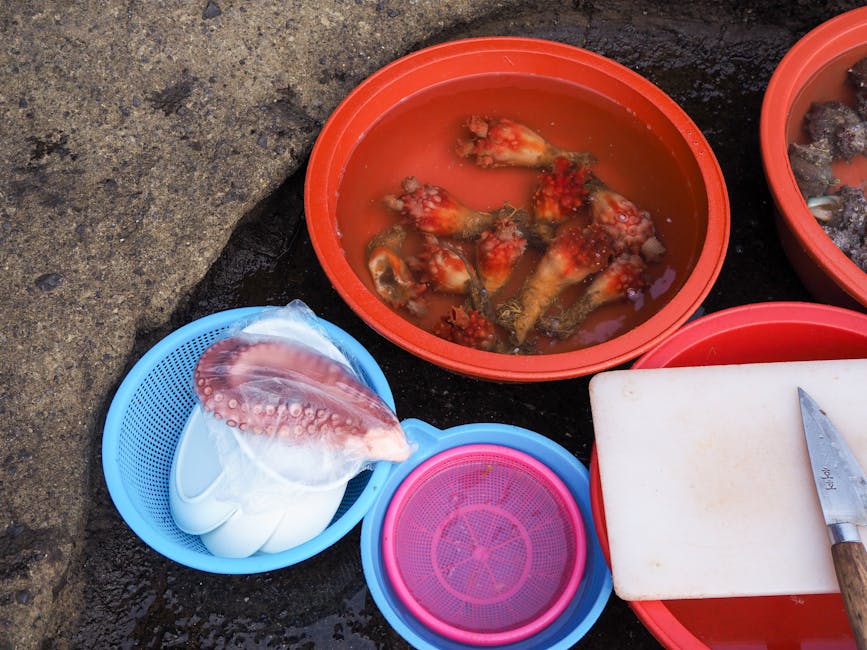 電子支付工具在香港文化中的應用與影響