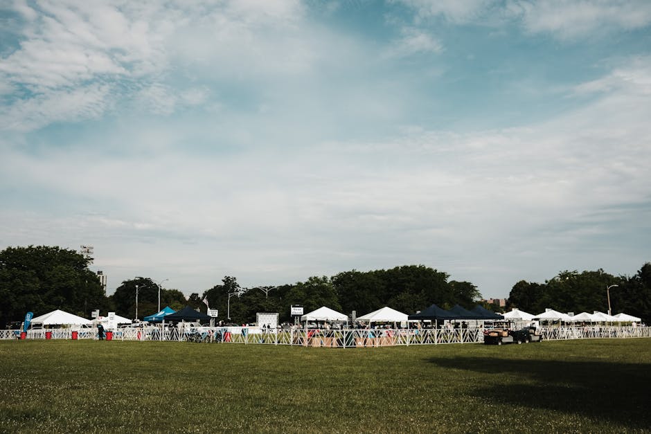 深入分析BB展的趨勢與影響